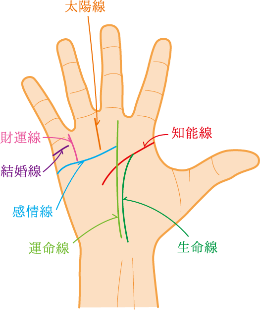 手相線名称イラスト